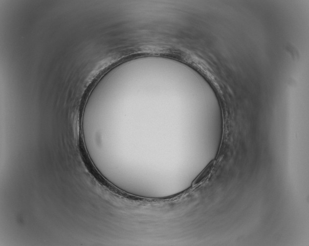 X0000112070011200908181230