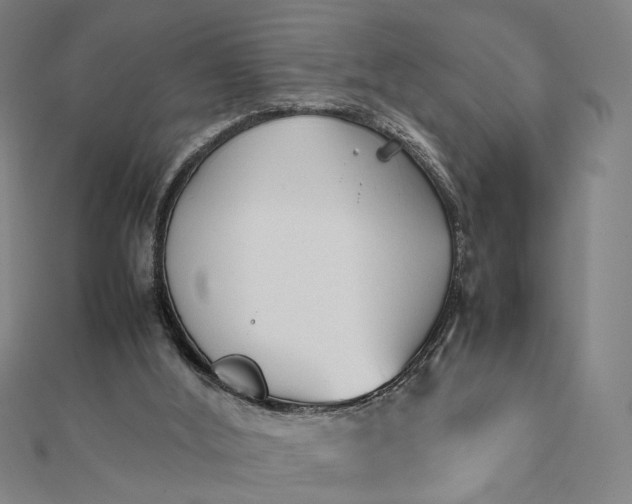 X0000112070012200908181230