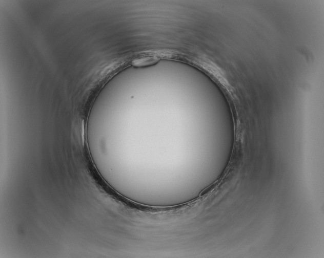 X0000112070013200908181230