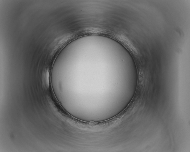 X0000112070014200908181230