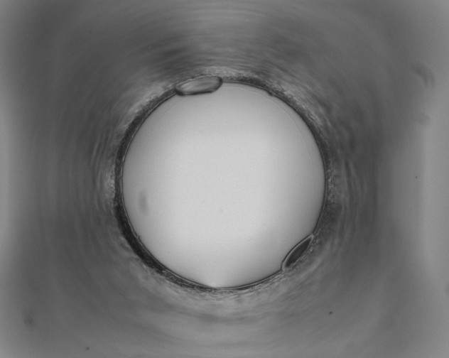 X0000112070015200908181230