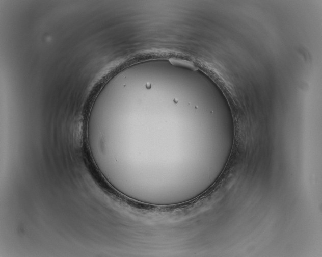 X0000112070016200908181230