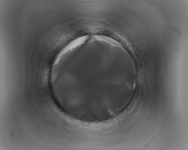 X0000112070018200908181230