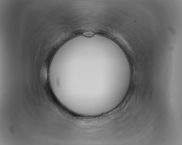 X0000112070021200908181230