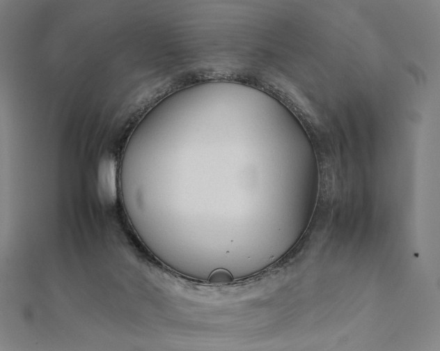X0000112070022200908181230