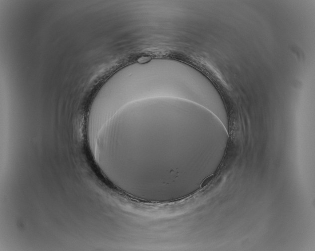 X0000112070023200908181230