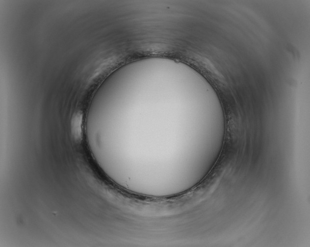 X0000112070024200908181230