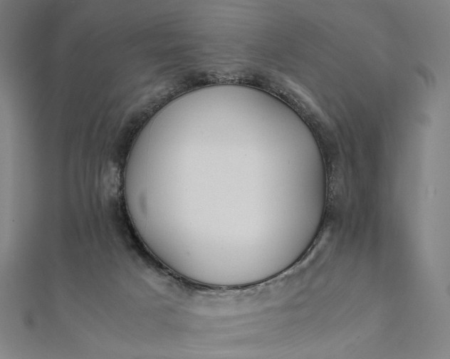 X0000112070025200908181230