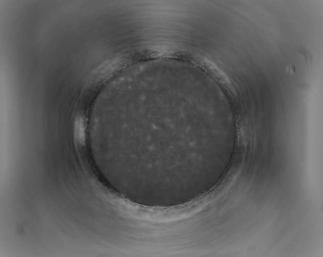 X0000112070026200908181230