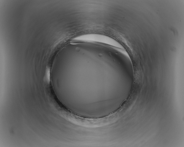 X0000112070027200908181230