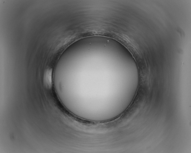 X0000112070028200908181230