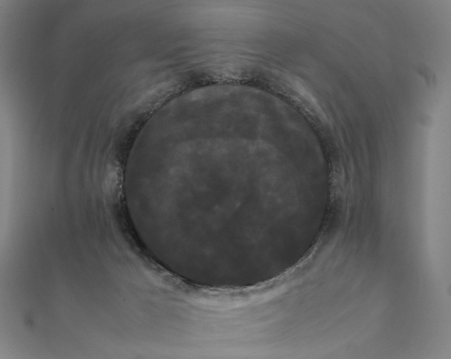 X0000112070029200908181230