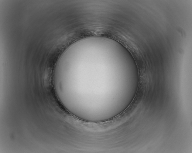X0000112070030200908181230