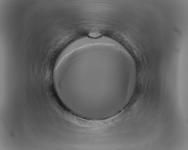 X0000112070031200908181230