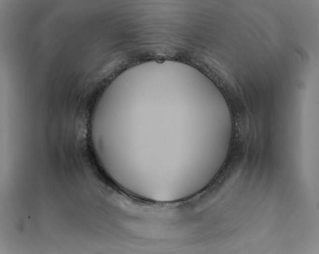 X0000112070032200908181230