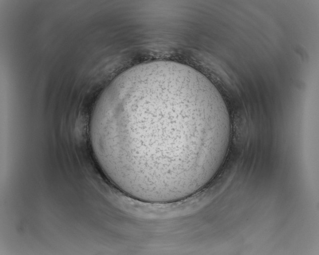 X0000112070034200908181230