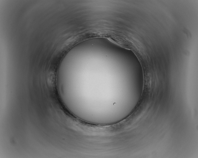 X0000112070036200908181230