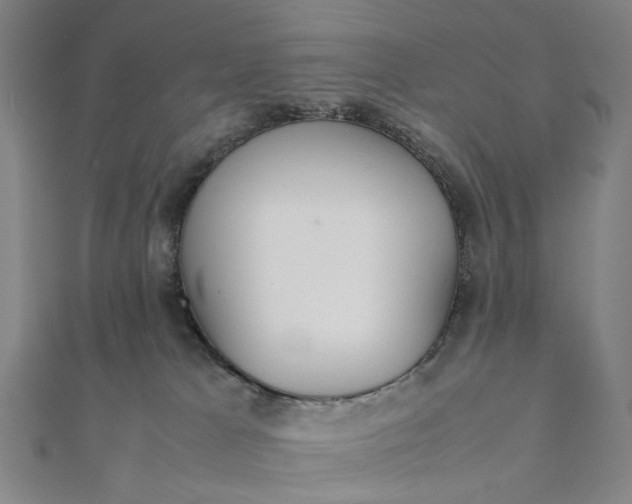 X0000112070037200908181230
