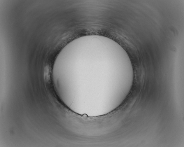 X0000112070038200908181230