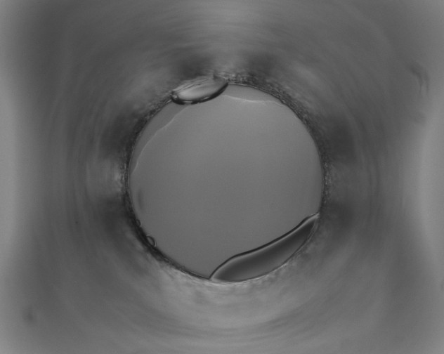 X0000112070039200908181230