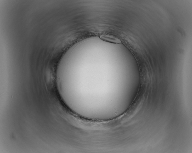 X0000112070040200908181230
