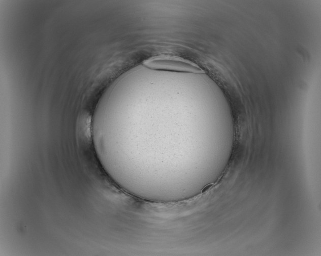 X0000112070041200908181230