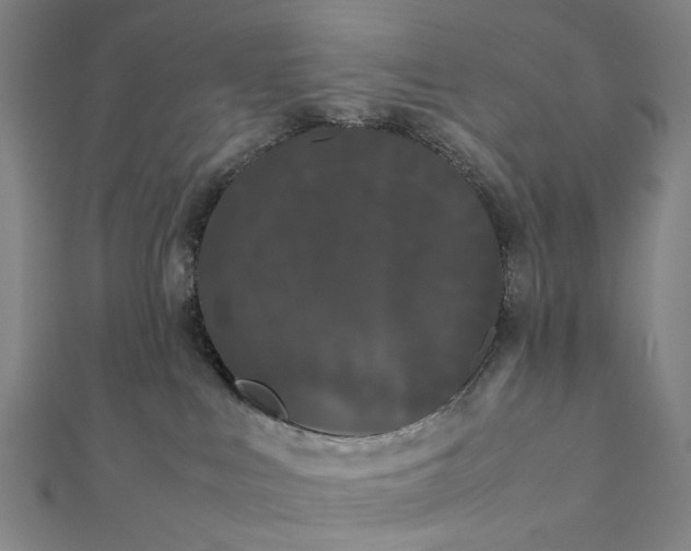 X0000112070043200908181230