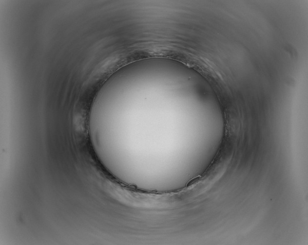 X0000112070044200908181230