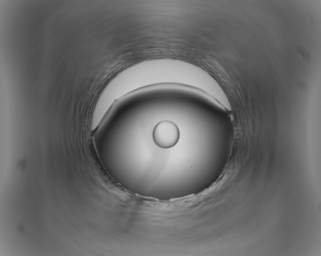 X0000112070045200908181230