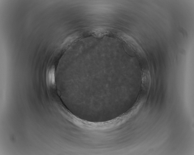 X0000112070046200908181230