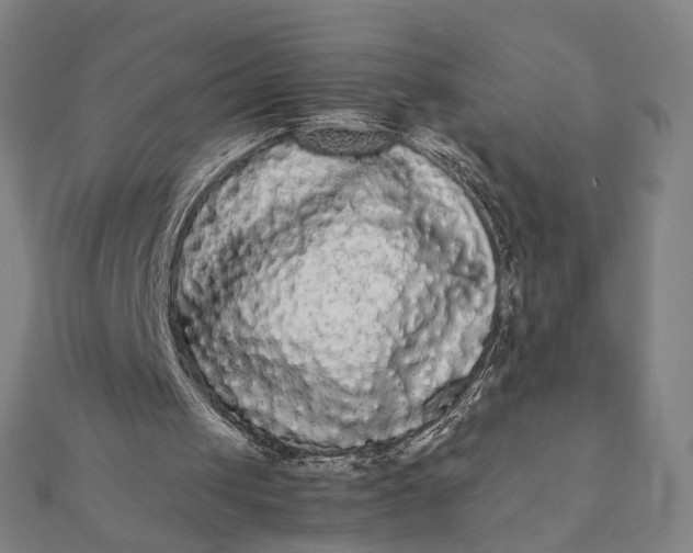 X0000112070049200908181229