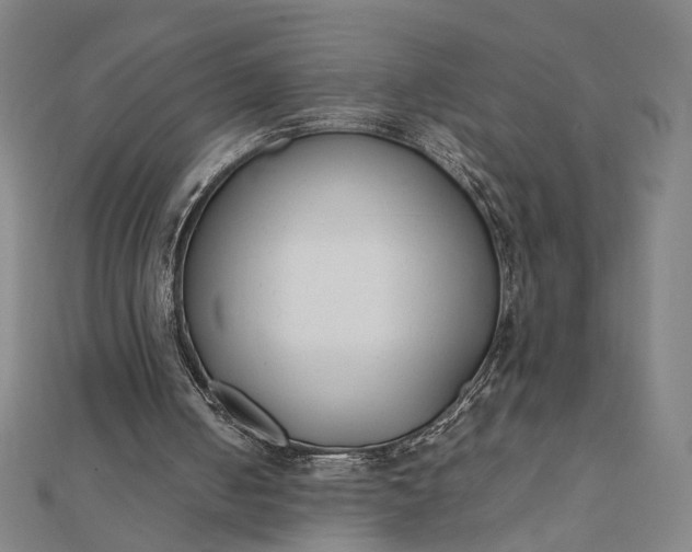 X0000112070050200908181229