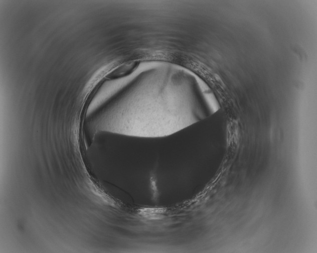 X0000112070051200908181229