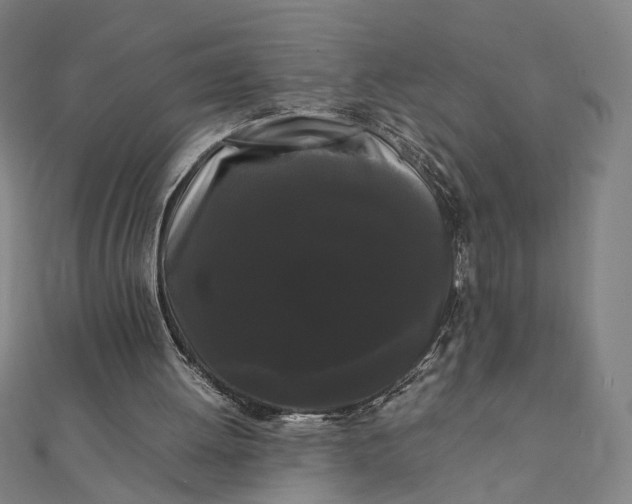 X0000112070052200908181229