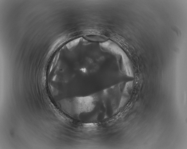 X0000112070053200908181229