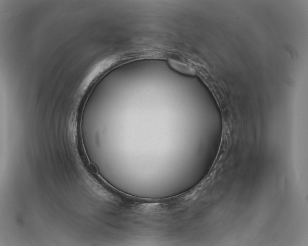 X0000112070054200908181229