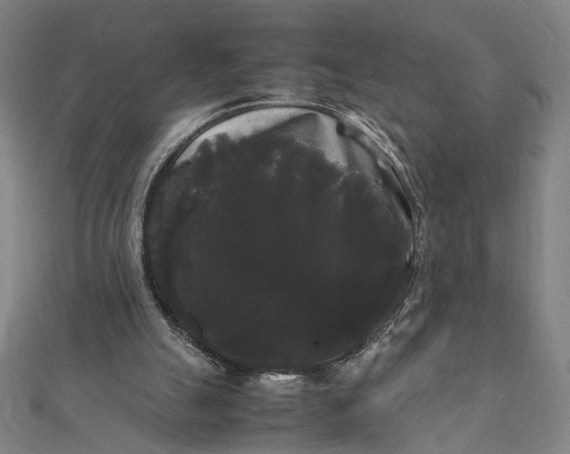 X0000112070055200908181229