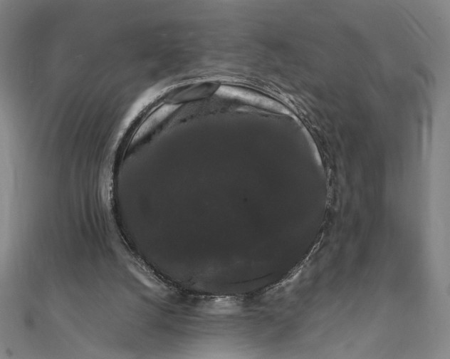 X0000112070056200908181229