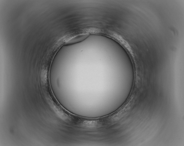 X0000112070057200908181229