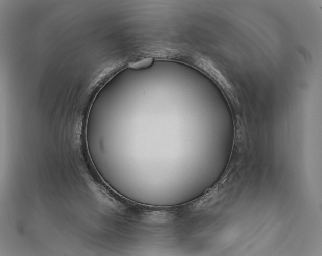 X0000112070058200908181229