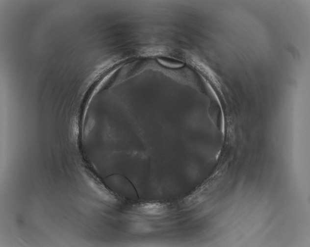 X0000112070059200908181229