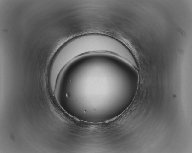 X0000112070060200908181229
