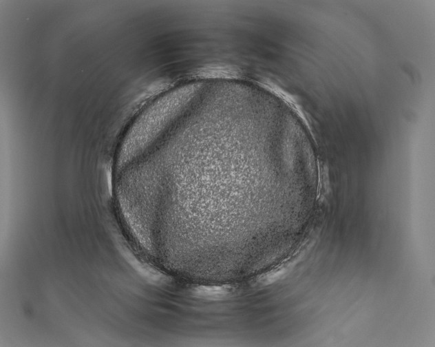 X0000112070061200908181229