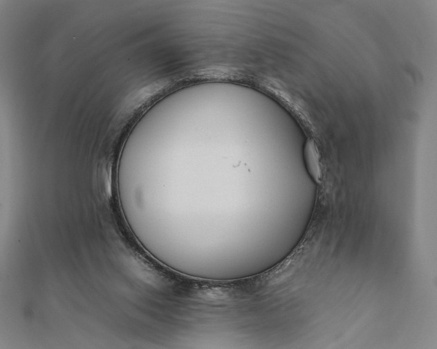 X0000112070062200908181229