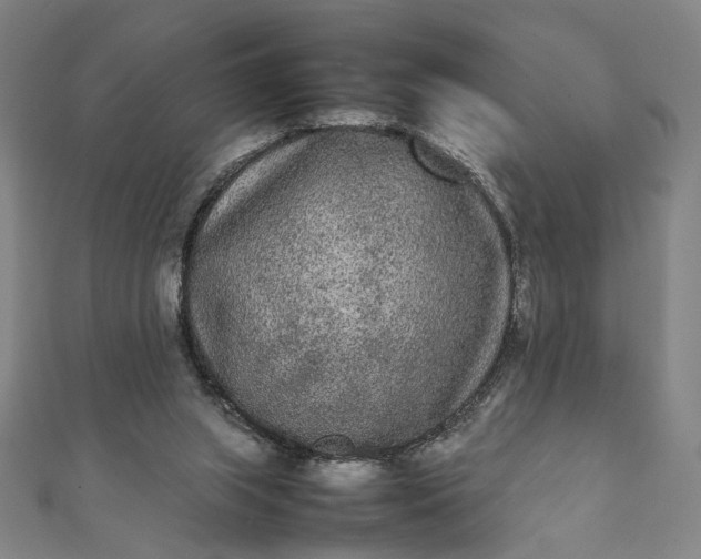 X0000112070063200908181229