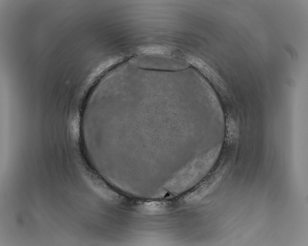 X0000112070064200908181229