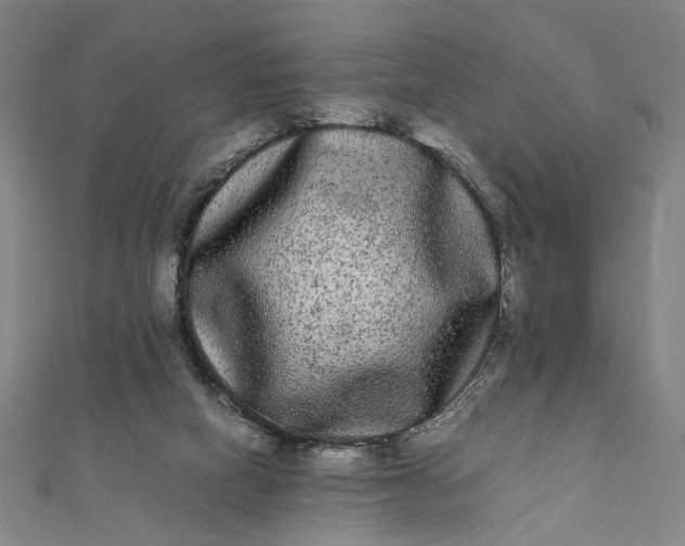 X0000112070066200908181229