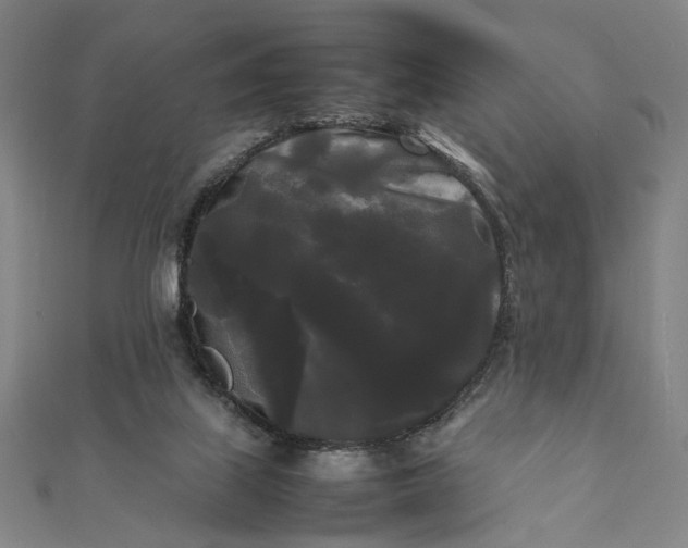 X0000112070067200908181229