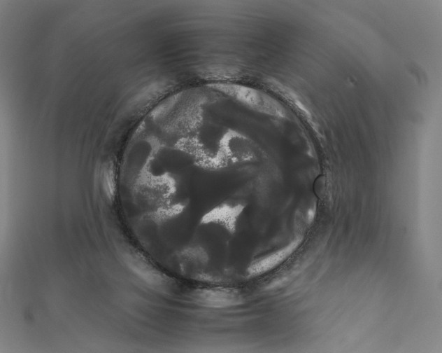 X0000112070069200908181229