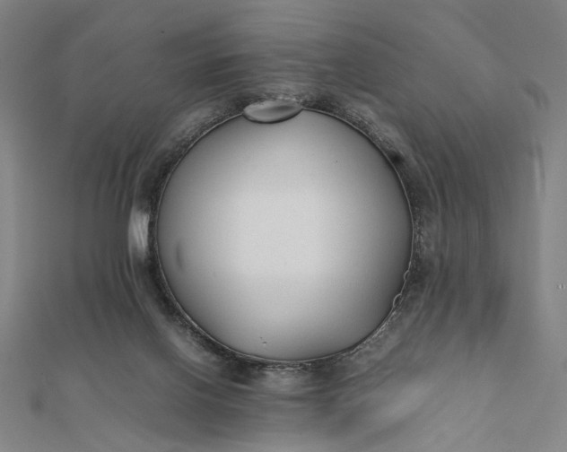 X0000112070070200908181229
